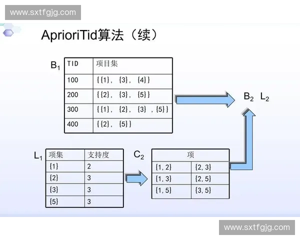 基于算法校验的精确性提升与应用研究分析