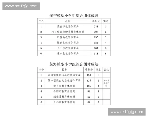 基于运动行为模型的个体健康促进机制与实践路径研究优化策略分析