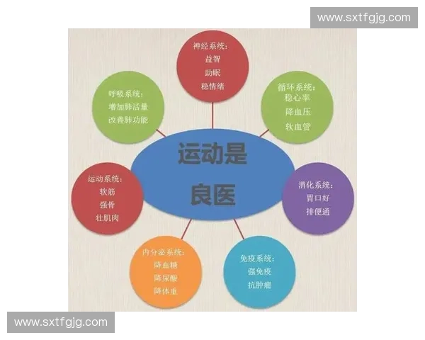 体育理疗师助力运动康复与身体功能全面提升方案